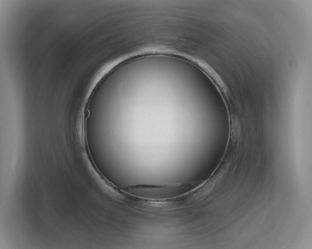 X0000112541295200908241519