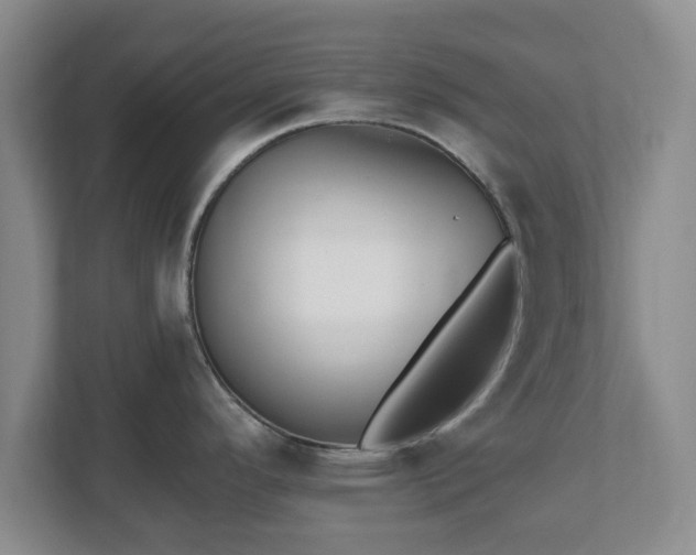X0000112541296200908241519