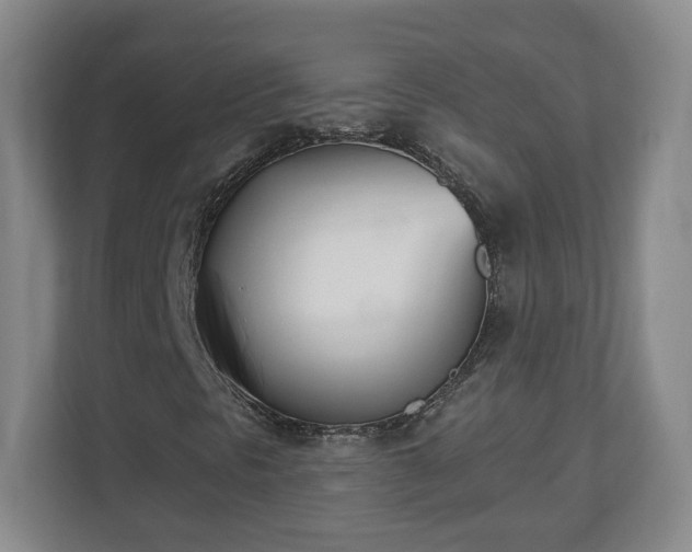 X0000112541297200908241518