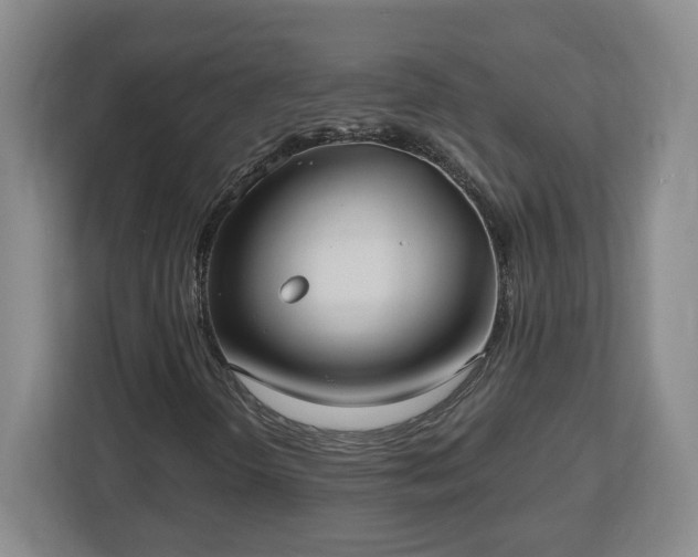 X0000112541298200908241518