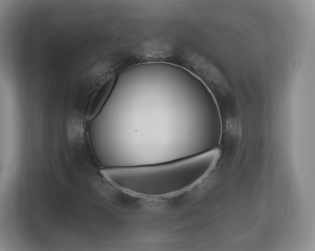 X0000112541300200908241519