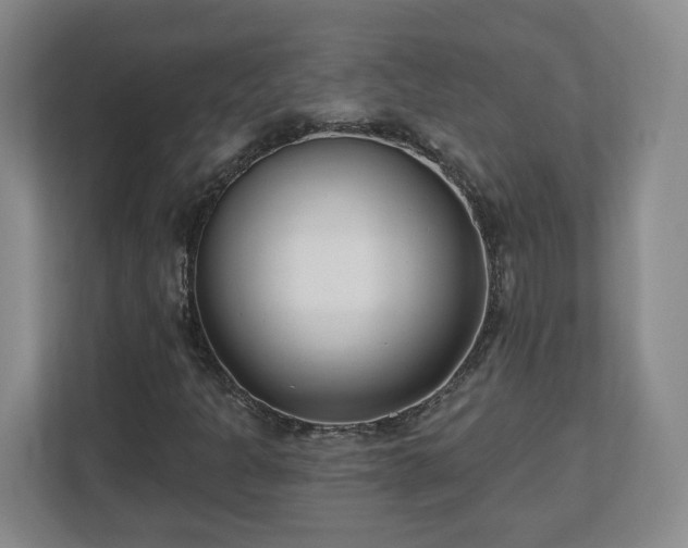 X0000112541301200908241519