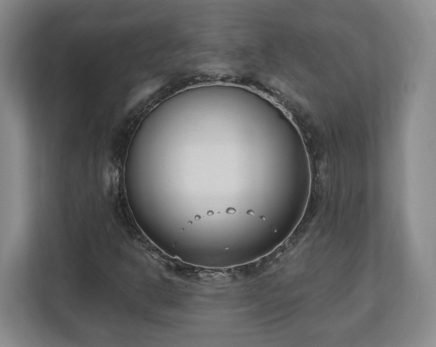 X0000112541302200908241519