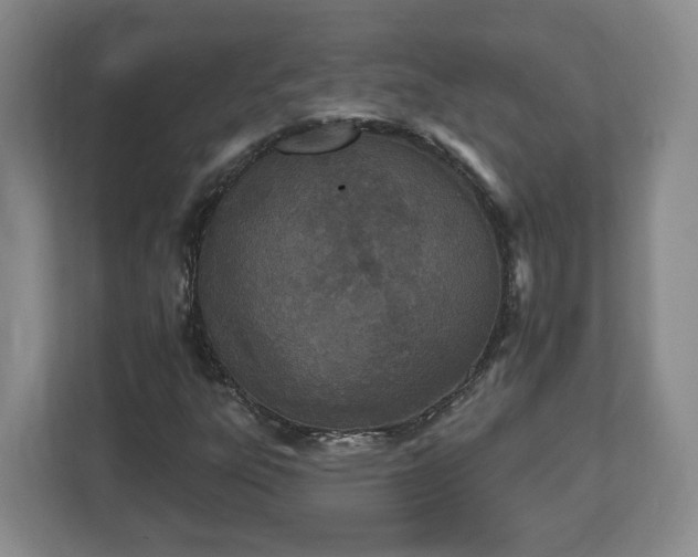 X0000112541303200908241519