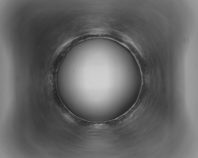 X0000112541304200908241519