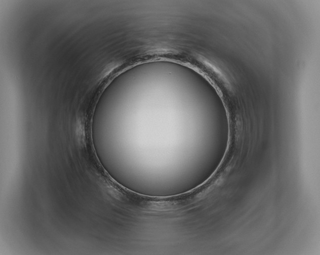 X0000112541305200908241519