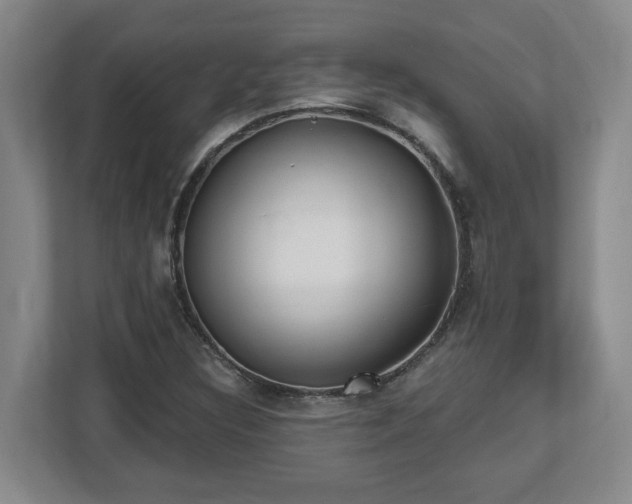 X0000112541308200908241519