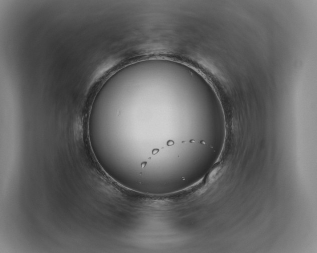 X0000112541309200908241519