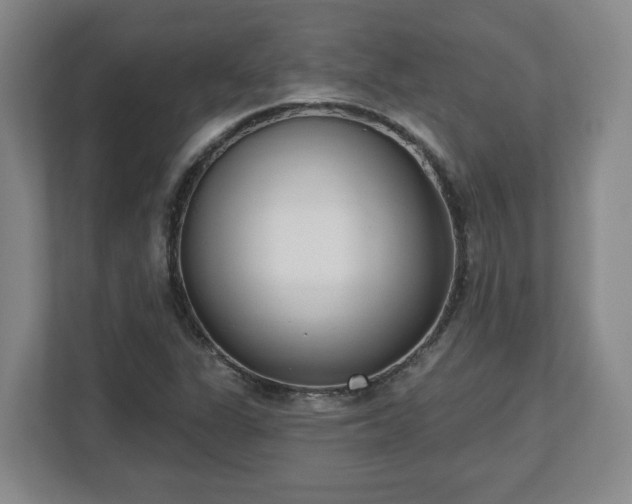 X0000112541311200908241519