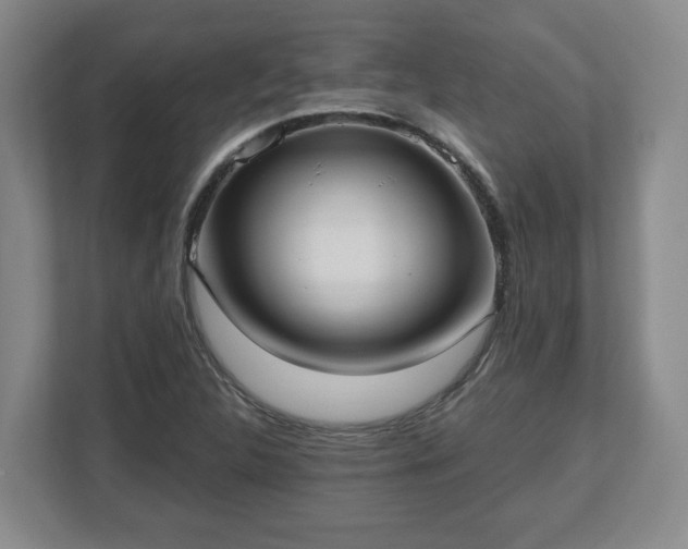 X0000112541312200908241519