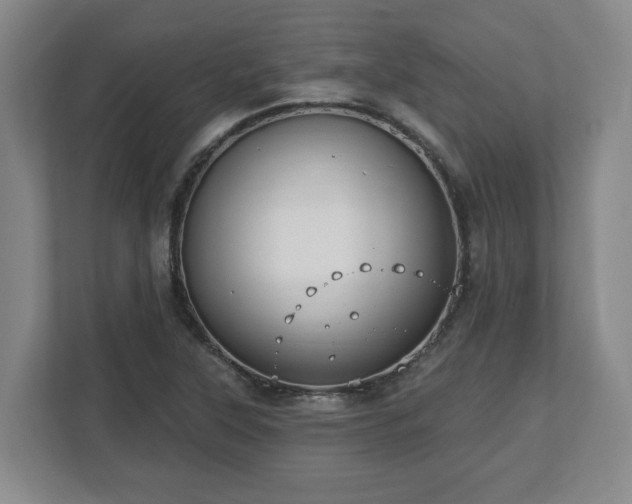 X0000112541315200908241519