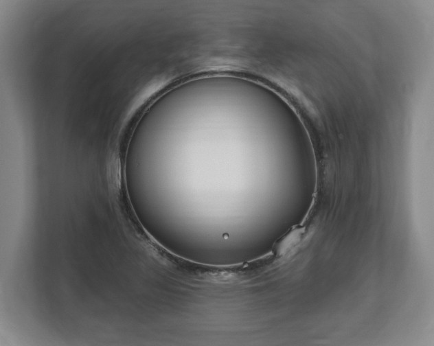 X0000112541317200908241519