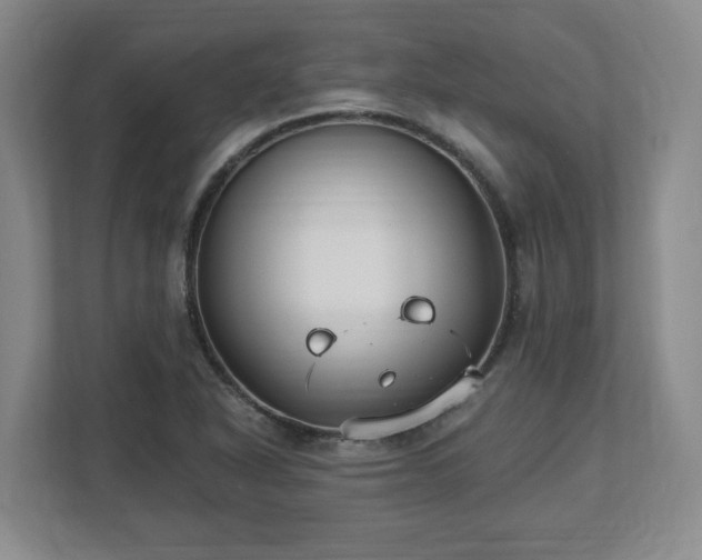 X0000112541318200908241519