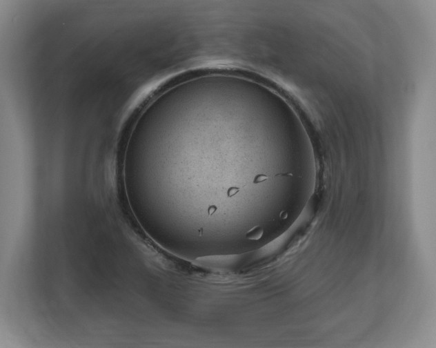 X0000112541319200908241519