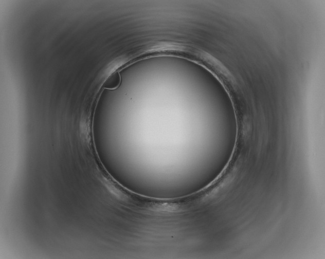 X0000112541321200908241519
