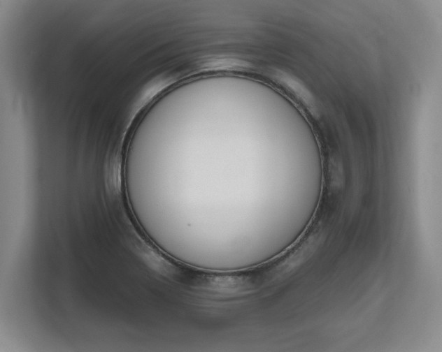 X0000112541322200908241519