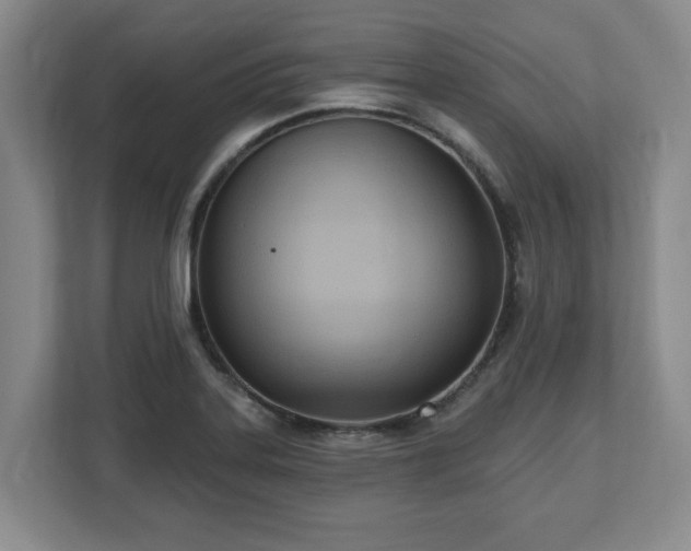X0000112541323200908241519