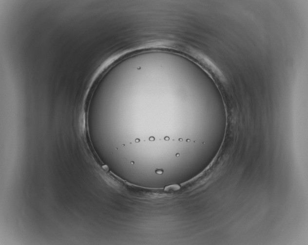 X0000112541324200908241519