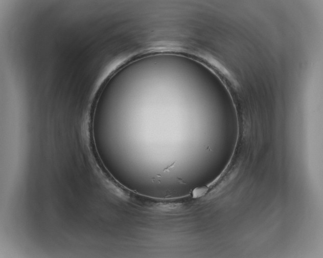 X0000112541325200908241519