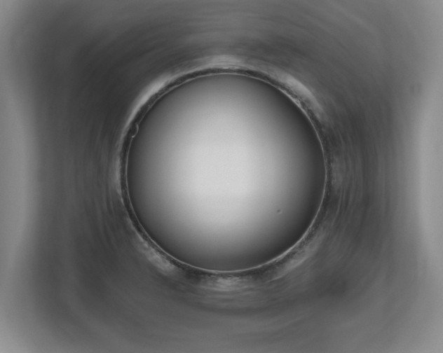 X0000112541326200908241519