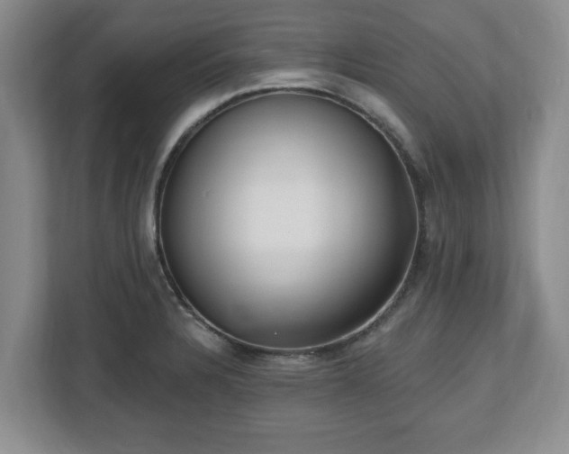 X0000112541328200908241519