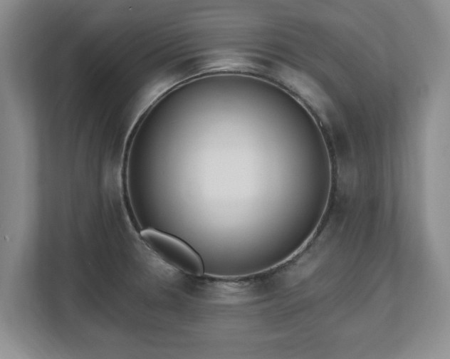 X0000112541330200908241519