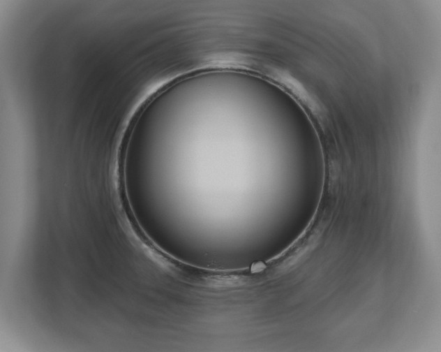 X0000112541331200908241519