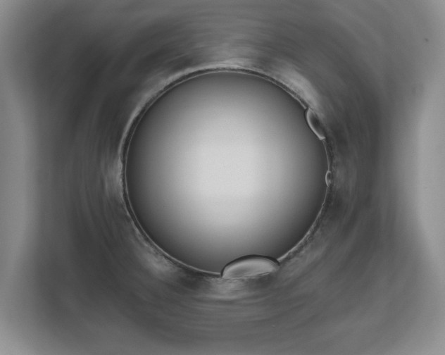 X0000112541332200908241519