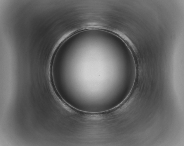 X0000112541333200908241519