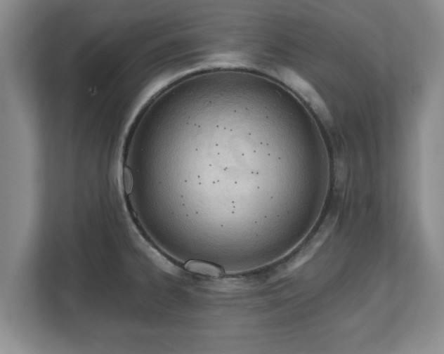 X0000112541334200908241519