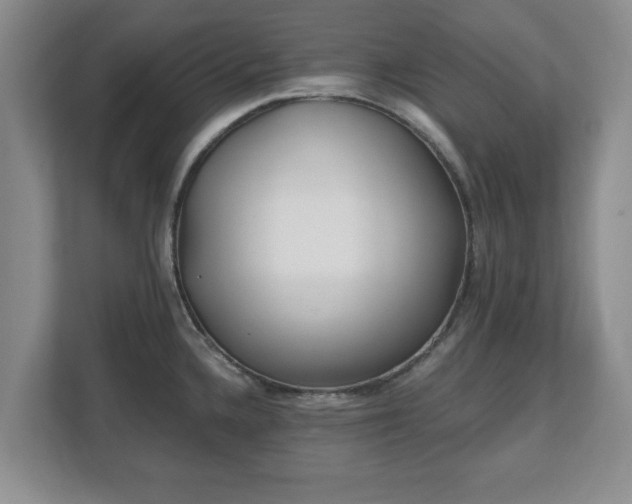 X0000112541336200908241519