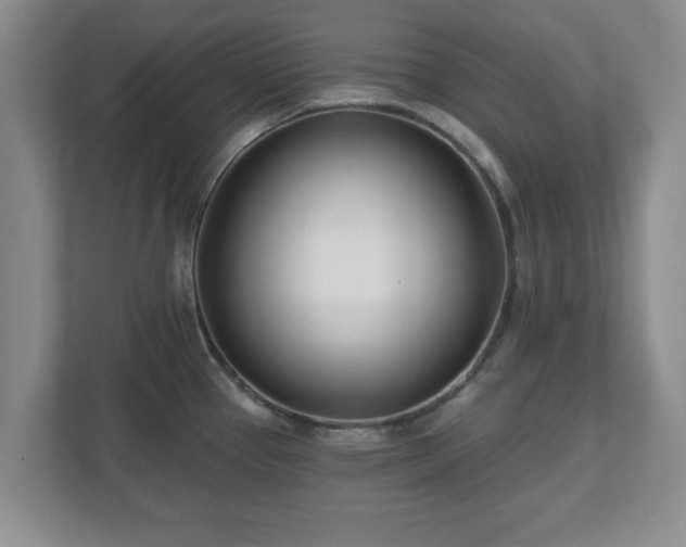 X0000112541337200908241519