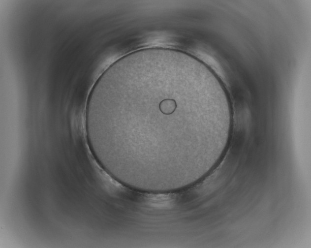 X0000112541338200908241519