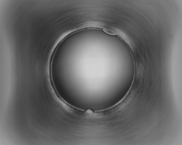 X0000112541339200908241519