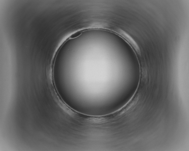 X0000112541340200908241519