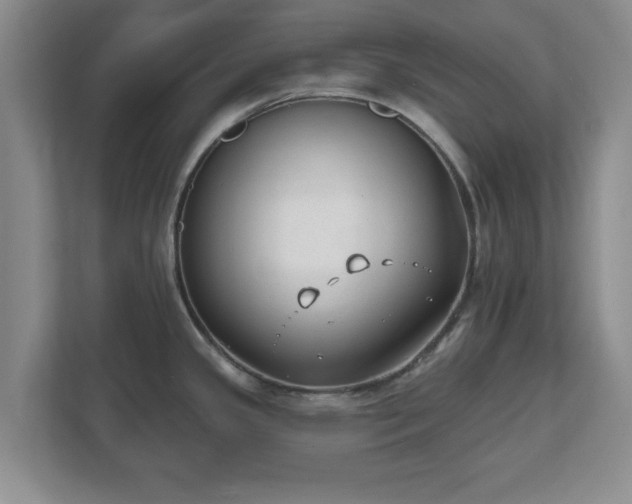 X0000112541341200908241519