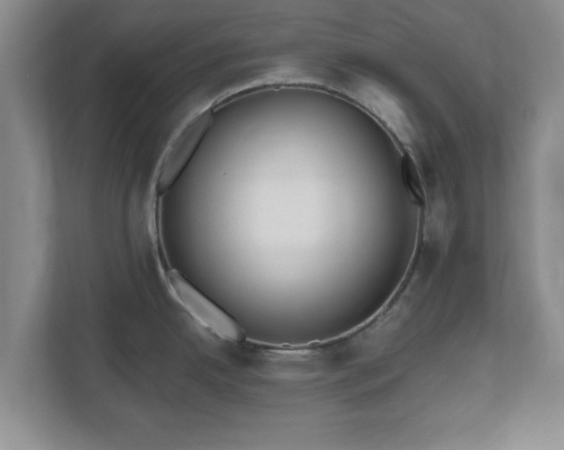 X0000112541342200908241519
