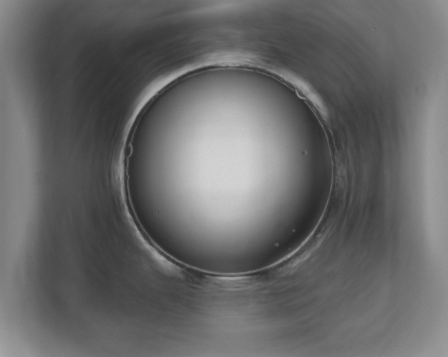 X0000112541343200908241519