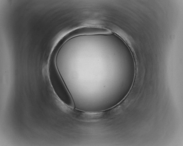 X0000112541344200908241519
