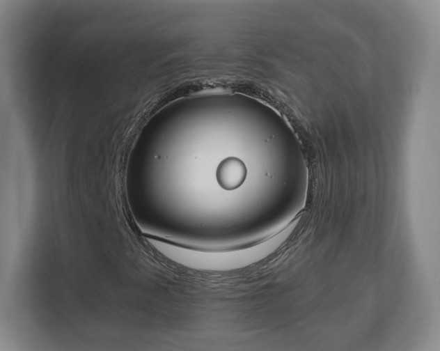 X0000112541345200908241518