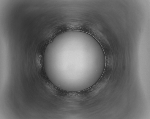 X0000112541346200908241518