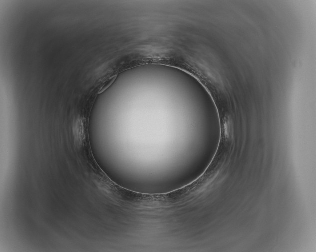 X0000112541347200908241518