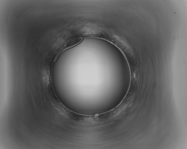 X0000112541348200908241518