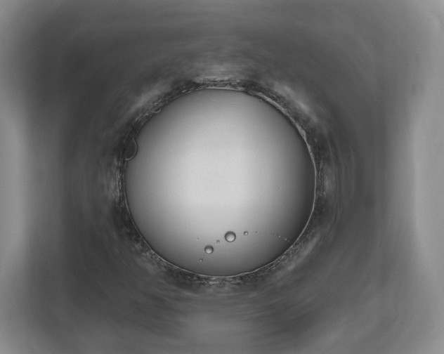 X0000112541350200908241518