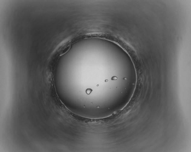 X0000112541351200908241518