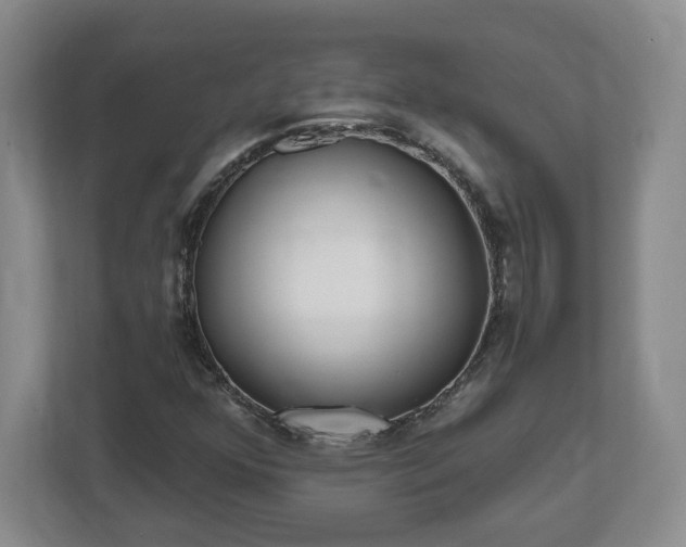 X0000112541352200908241518