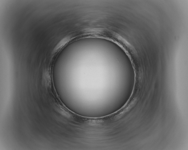 X0000112541354200908241518
