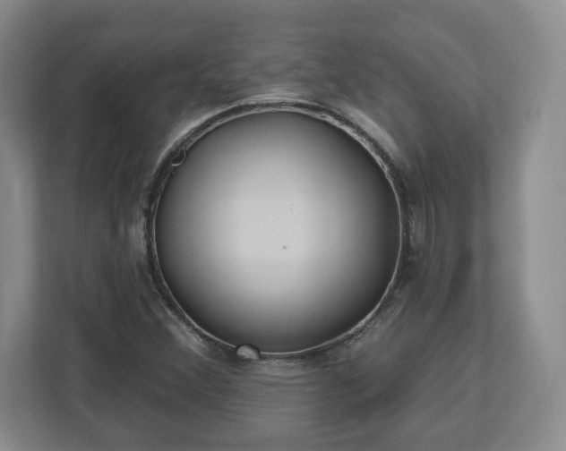 X0000112541356200908241518