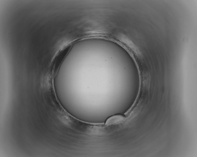 X0000112541357200908241518