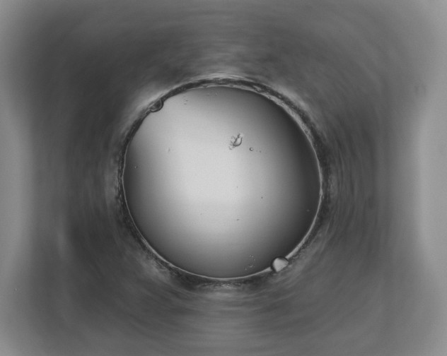 X0000112541359200908241518